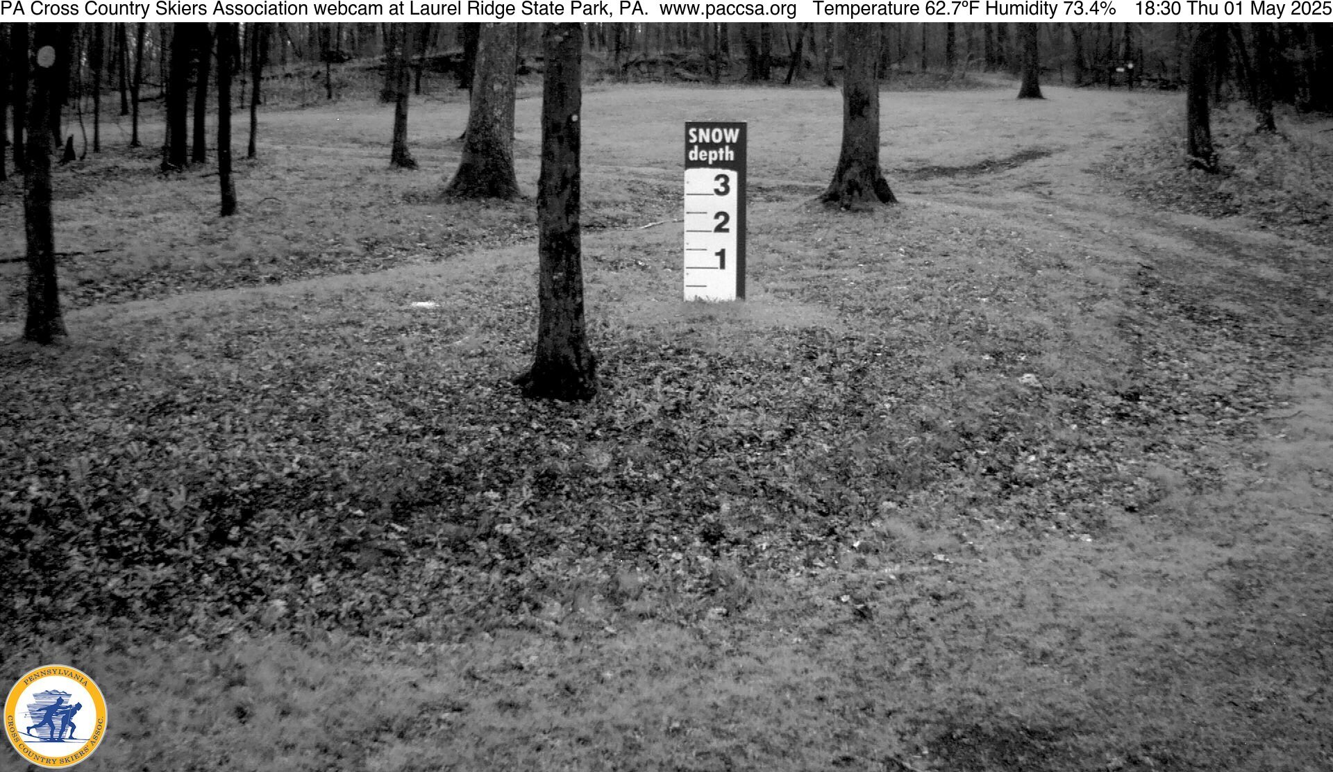 netcam.jpg