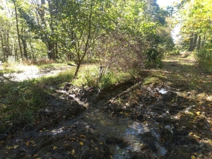 The second wet area