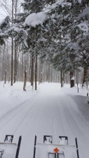 Trail photo from WL