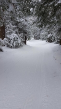 Trail photo from WL