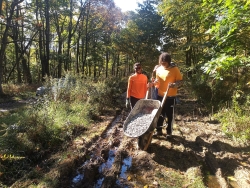 Improving one wet area