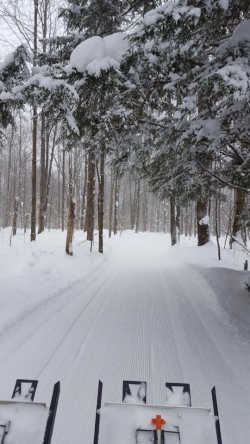 Trail photo from WL