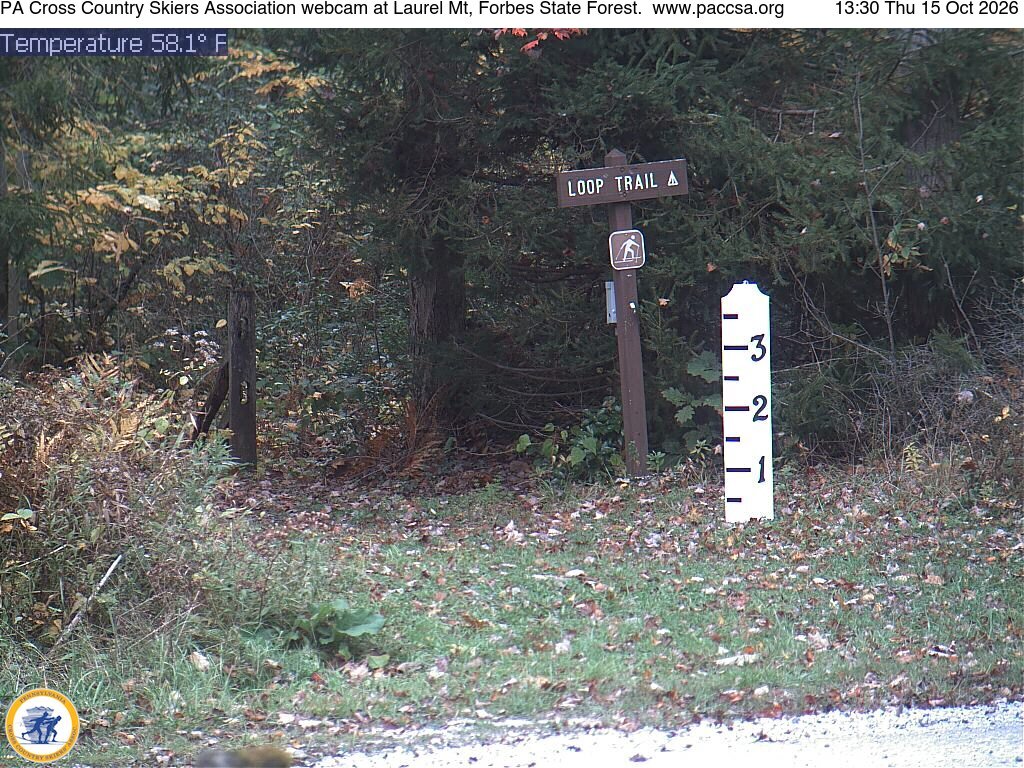 PACCSA webcam at Laurel Mountain