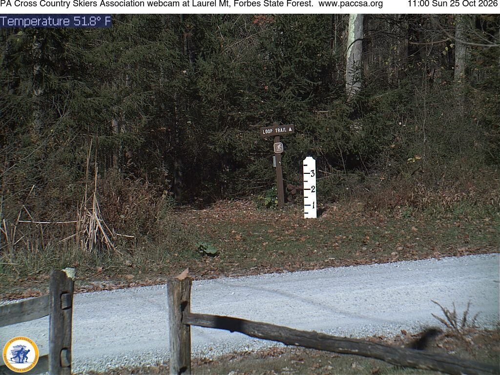 PACCSA webcam at Laurel Mountain