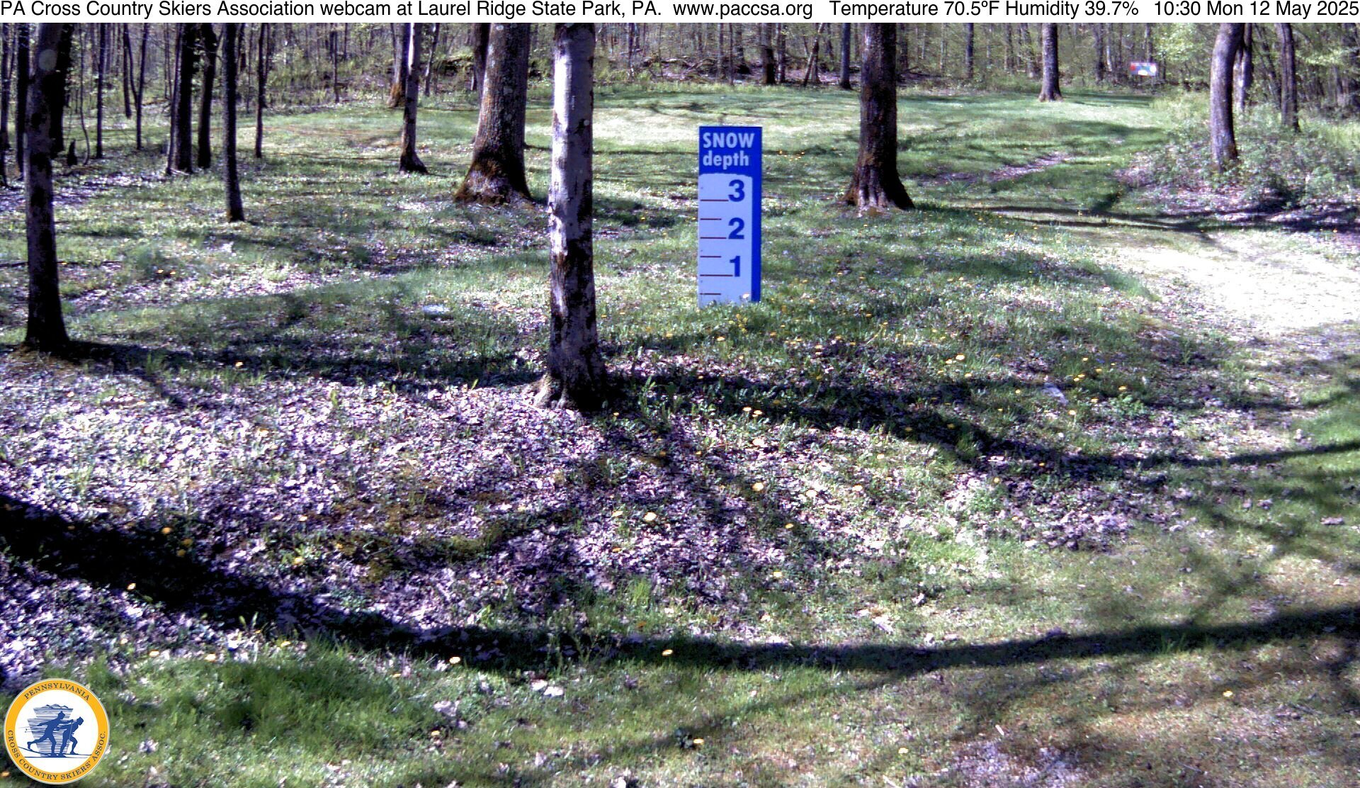 Mon 12 May 2025 10:30:09 am